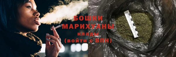 сатива Чердынь