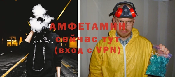 гашик Дмитров