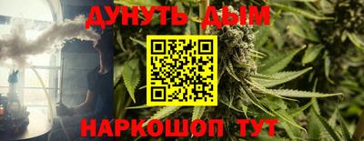 крисы Северобайкальск