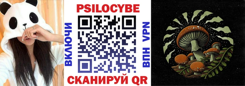где купить   Радужный  Псилоцибиновые грибы GOLDEN TEACHER 