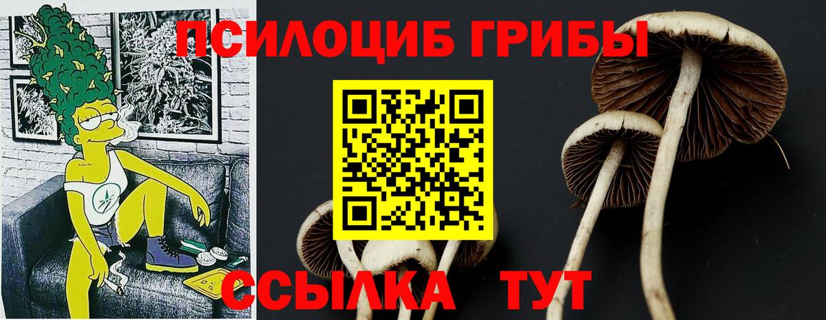 Псилоцибиновые грибы прущие грибы  Вход с VPN  Галлюциногенные грибы Psilocybine cubensis  продажа наркотиков  Радужный 